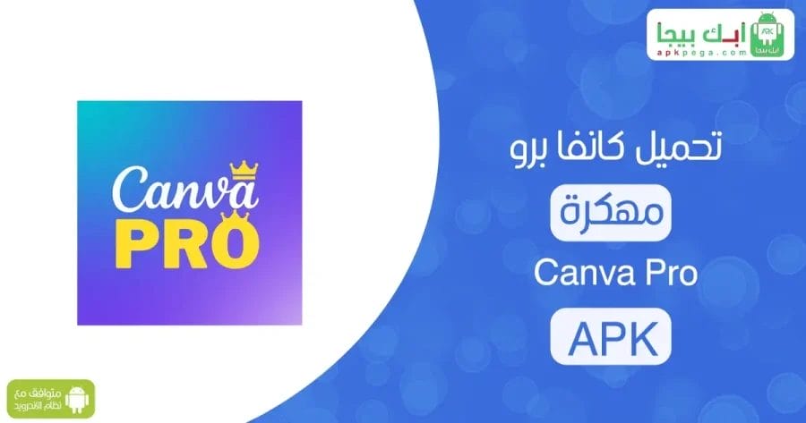 Canva Pro